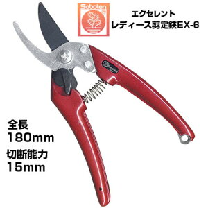 oT~ T{e GNZgfB[X  NO.EX-6yT{e ͂ RpNg JVXbh ʎ Ԃǂ  ݂ S  ` tbfR[g _ ʎ |  v 