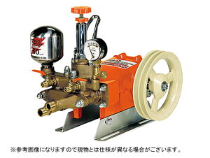 P̓ ͕P yJ[c P̓ SX251z @ h@ Uz@