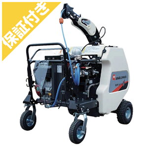 yv~Aۏ؃vXtzێR쏊 4chWR MSA619R4C-BR(13)