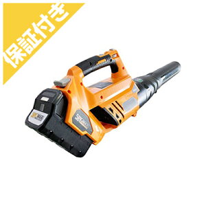 iv~Aۏؕtj iACfbNj BHB70M-401 [du[ uA? iu[elexj