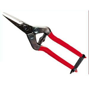 ߐ/`J}T _ E-6CiBPj [n͂ ʎ _ƑS MUn j ɂ]