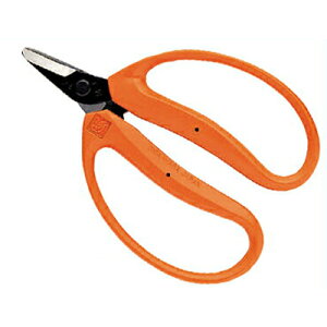 ߐ/`J}T ݂ ͂ M-100 [݂ n E E ݂ fR| ` ʎ n IWF { ݂_ ʎ ό_ ]