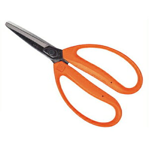 ߐ/`J}T _ ͂ M-700iBPj [ ʂ͂ ܂˂  ʎ n͂ n _ƑS IWF {]