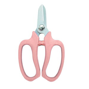 ߐ/`J}T fbNX MF-9000P [sNF t[AWg ԉ t[Vbv tbfH |  C[ؕt]