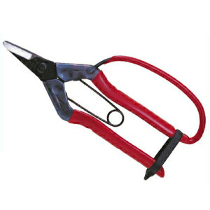 ߐ/`J}T ̉EK[ht Ȑn S-200G [n͂ ݂ fR| ` ʎ ʎ ό_ _ v ԐF {]