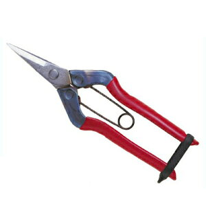 �ߐ�/�`�J�}�T �X�e�����X�E���� T-500S�iBP�j�y �_��ƑS�� ���n ��� �E�� �ʎ� �_�� �ʎ��� �ό��_�� �ƒ�؉� �v�� ���{�� �z