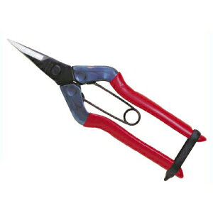 ߐ/`J}T@Eʂ͂ T-501iϔjmEʂ͂  ͂  o  _ƑS | { oltn