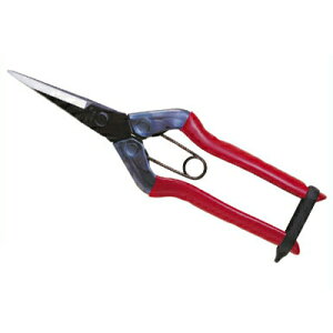 �y�ŒZ���������z �ߐ�/�`�J�}�T ����� T-550�y�E���� �E�ʂ͂��� �E���� �E�Ԃ͂��� ���n�͂��� �_��� ���| �v�� ���{�� �o�l�t�� ��אn�z�y�ܓ���z