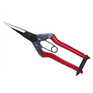 ߐ/`J}T  T-551iϔjy؂͂ E Eʂ͂ n͂ ʎ _ ʎ ԐF { z