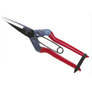 ߐ/`J}T щ T-600iBPjyE E n  イ ܂˂  ʎ _ƑS _ ʎ ό_ ԐF v {z