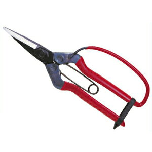 ߐ/`J}T ؉ 뒼nK[ht T-600G iܓj [E E n   ʎ _ƑS _ ό_ ԐF v {]