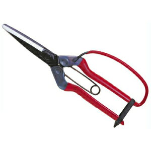 ߐ/`J}T EK[ht T-700GiBPj[n n͂ ʂ˂  ʕ _ | v { olt K[ht]