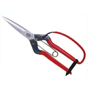 ߐ/`J}T t ͂ K[ht T-710GDXiBPjm| |͂  d {E| olt {n