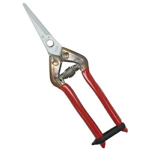 ߐ/`J}T XeXR T-55SKF iuX^[pbNj [ ؂͂ E Eʂ͂ n͂ XeX {]