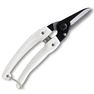 AX 140B t@~[ubNy| ^ y |͂   ԉ t[Vbvz