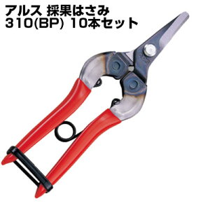 (���������ł����I) (10�{�Z�b�g)�A���X 310-BP �̉��� BP�y�E�ʂ͂��� �̉ʂ͂��� �̎��͂��� �Ȑn �` �� �݂��� �ʎ����@�ƒ�؉��z