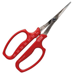 y݌ɂzyŒZz Ԃǂ AX ԂǂE 321DX-M Ȑn yԂǂ E Ec ̎ [ n ͂  ԐF XeXn n ېn אn t Ԃǂ_ 