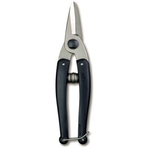 AX HprRpNgyy ^ pr͂ dCH H  vX`bN P[u z