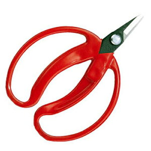 AX 430 ݂̎  ܓyE ̉ ̎ ͂  ʎ Ȑn ݂ ېnz܂Ƃߔ劽}