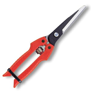 AX SE-65  ʂ˂p y|͂ E ̉ n  ʂ˂ ʎ  K[fjOz