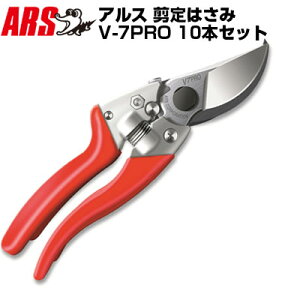 (10{Zbg) AX V-7PRO y͂ ʎ    ݂ Ԃǂ  ` LEC |  _ ʎz