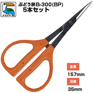 (łI)(5{Zbg) Ԃǂ ߐ/`J}T Ԃǂ B-300iBPjmԂǂ͂ E [ n  Ec Ԃǂ_ ʎ ό_ | _ IWF {