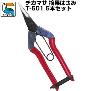 (łI)(5{Zbg) ߐ/`J}T Eʂ͂ T-501(ϔ)yEʂ͂  ͂  o  _ƑS | { oltz