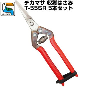 (łI)(5{Zbg) ߐ/`J}T I[XeX n Ȑn T-55SRyn͂ t ɂɂ n  I[XeX Kтɂ {z