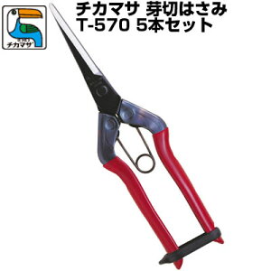 (łI)(5{Zbg) ߐ `J}T  O T-570yOn E E n ʎ _ ʎ ԐF v {z