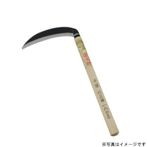 ӂ낤 #121 揬