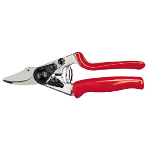 tFR tFR12ytFR ͂ y RpNg ʎ  Ԃǂ  ݂  ` ]nh ԐF AOwbh A~nh Ռጸ XCX _ ʎ 