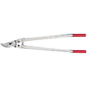 tFR} bp[ tFR22ytFR }͂ bp[ AOwbh ʎ  Ԃǂ  ݂ `   XCX _ ʎ | z