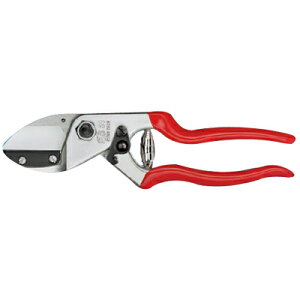 tFRAr tFR31ytFR Ar͂ ndグ A~nh Ȑnh ʎ  Ԃǂ  IW  I[u ԐF XCX _ ʎ 