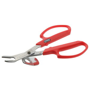 |͂ T{e  ieRtj NO.5-By XeX MUn G  | ƒ؉ K[fjO Ȃ ͂ ނ  Ătz