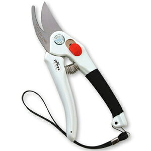 J}L  XeXn oCpX 185 P-900S