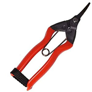 �z�H S-15 ������ 160mm BP