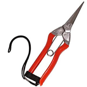 �z�H S-1S �X�e�����X�E���� �X�e���o�l185mm BP