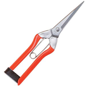 �z�H S-2 �X�e�����X�n���E�����X�e���o�l200 BP