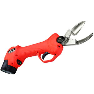 yzjVKLH [d ڂn N-980 y`n łw^NNؒf ňUP o^`󂪂ڂ̌E݂Ƀsb^tBbgz