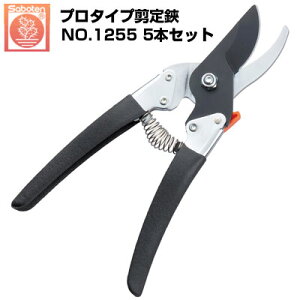 (łI)(5{Zbg)΂ T{e v^Cv NO.1255yT{e ͂ ʎ Ԃǂ ݂  S  ` tbfR[g F SObv _ ʎ  | v