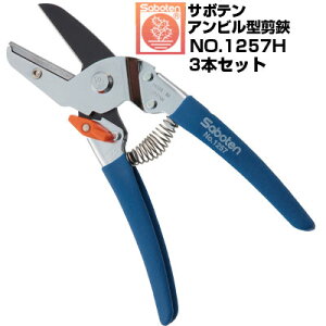 (łI)(3{Zbg)  T{e Ar^ y×y NO.1257HyT{e ͂ Ar^Cv tbfR[g ʎ Ԃǂ ݂  S  ` F SObv 