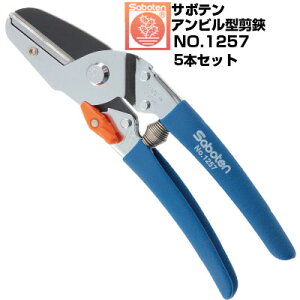 (łI)(5{Zbg) ΂ T{e Ar^ NO.1257yT{e ͂ Ar^Cv ʎ Ԃǂ ݂  S  ` tbfR[g F SObv 