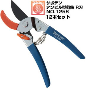 (łI)(12{Zbg) ΂ T{e Ar^ Rn NO.1258yT{e ͂ Ar^Cv ʎ Ԃǂ ݂  S  ` tbfR[g F SOb