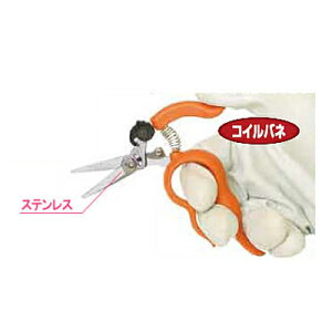 �y�ŒZ���������z ���n�� �T�{�e�� ���肪�g������n�͂��� �X�e�����X NO.1318S �T�{�e�� �E�� ���n �y�� �R���p�N�g �Ў�Ŏg���� �X�e�����X�� �_��