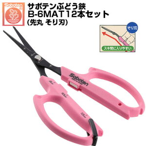 (łI)(12{Zbg) Ԃǂ T{e  n NO.B-6MAT ͂ŎŊJyT{e Ԃǂ ͂ E [ n ڐt y sNF tbfR[g ېn n 