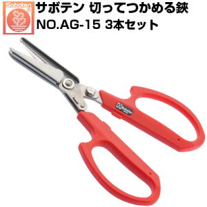 (łI)(3{Zbg) T{e ؂Ă߂Lb` NO.AG-15yT{e Lb`͂ n iX LE n[u   ʎ ؂Ă߂ n[hN[bL 