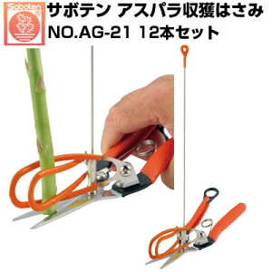 (łI)(12{Zbg) T{e AXpn͂ NO.AG-21yT{e AXpn nڈ̂t Lb`@\ ₳ XeXn Trɋ nUPz