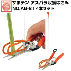 (送料無料でお得!)(4本セット) サボテン アスパラ収穫はさみ NO.AG-21【サボテン アスパラ収穫鋏 収穫目安ものさし付 キャッチ機能 やさしくつかむ ステンレス刃 サビに強い 収穫効率UP】