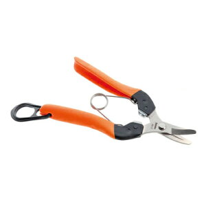 �y�ŒZ���������z �̉��� �T�{�e�� NO.AG-2�y�T�{�e�� �͂��� �̉� ���n �E�� �ʎ� ��� �݂��� �` �� �g�}�g ��Ȑn �I�����W�F �E���^���N�b�V���� �Ռ��z�� ���S�y�� �F�≊�΍� �ƒ�؉� �_