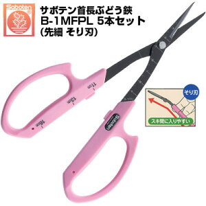 (łI)(5{Zbg) Ԃǂ T{e 񒷂Ԃǂ n NO.B-1MFPLyT{e ͂ Ԃǂ 񒷂Ԃǂ͂ E [ n ڐt sNF XeX tbfR[g 